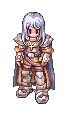 Paladin class sprite